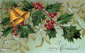 Mistletoe branch